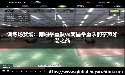 雨燕体育直播平台